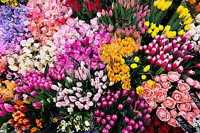 卡普空公布《生化危机》30周年纪念艺图 主角们华丽哥特风