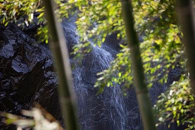 《雷顿教授与蒸汽新世界》公布 将登陆Switch主机